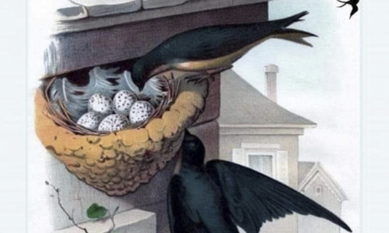 Buona Pasqua
